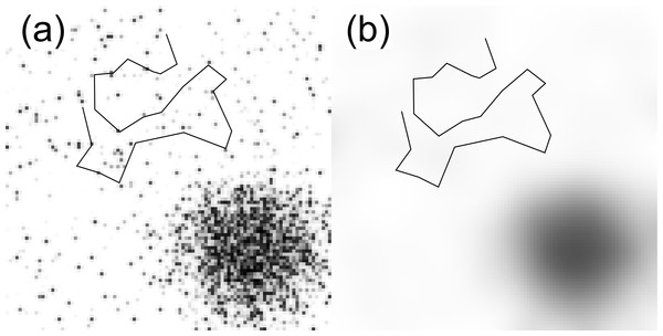 Example of how spatial scale can affect preference.