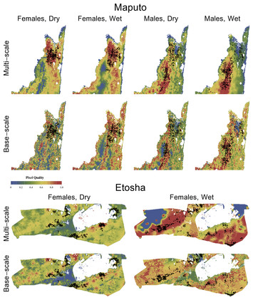 Data-driven discovery of the spatial scales of habitat choice by ...