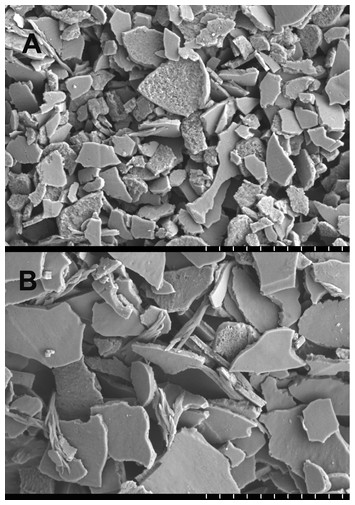 accompanying article image