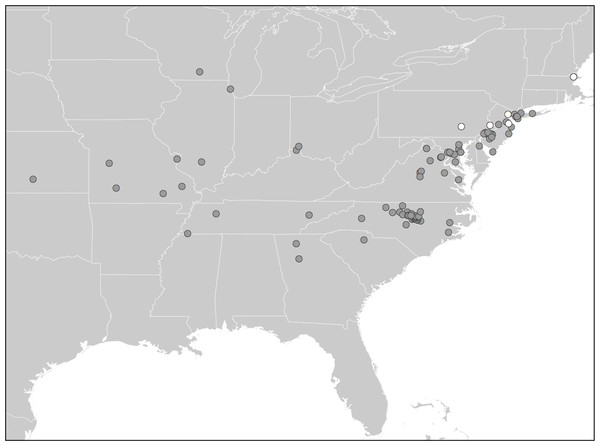 Distribution of Diestrammena species in American houses.