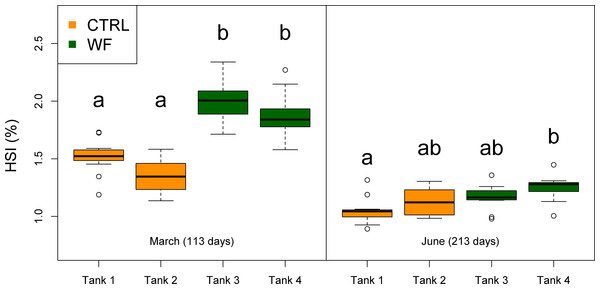 Box plots of the fish hepatosomatic index distributions.