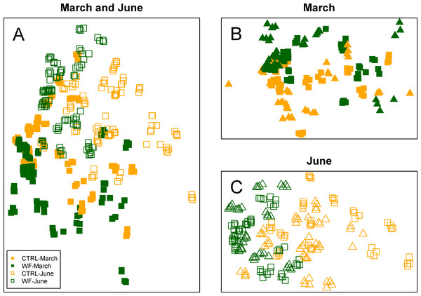 Clustering of the FT-IR spectra.