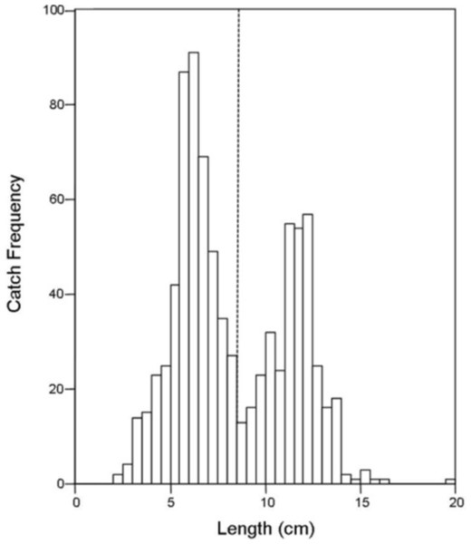 Histogram of bluegill standard lengths for all reservoirs combined.