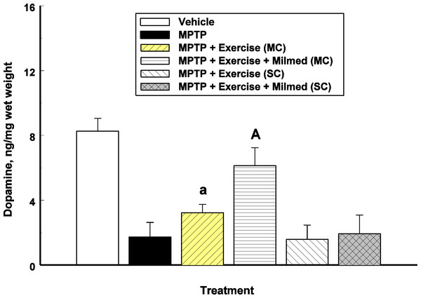 Neurochemical analysis.