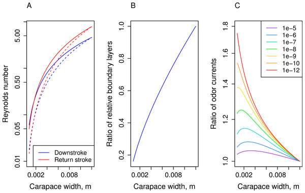 Calculated values based on regression lines versus carapace width.