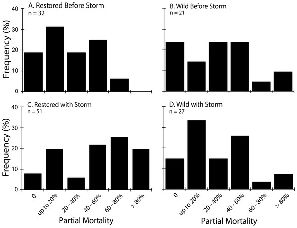 Partial mortality in diseased colonies.