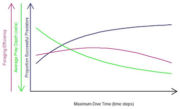 Modelling foraging movements of diving predators: a theoretical study ...