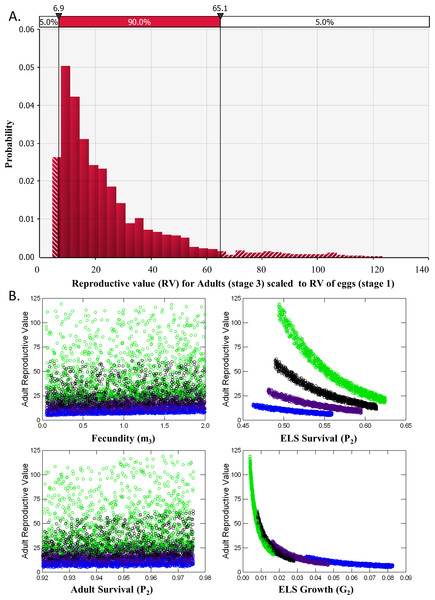 Reproductive Value (RV).