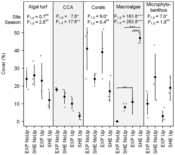 Benthic cover of dominant benthic groups.