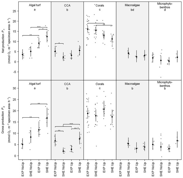 Individual net and gross production of benthic functional groups.