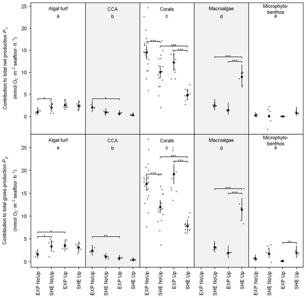 Contribution of functional groups to benthic net and gross production.