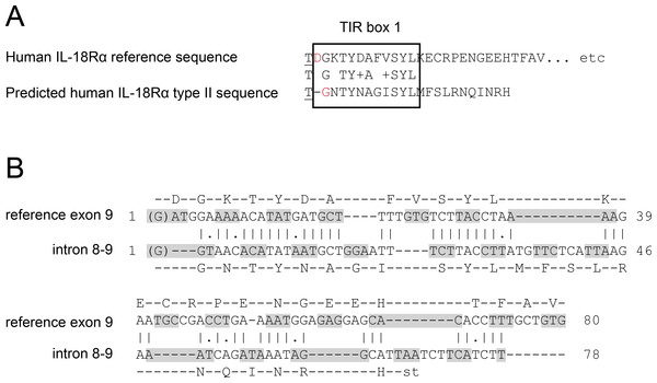 Comparison of human type I and type II IL18R1.