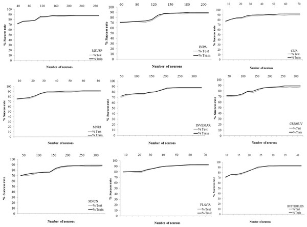 Rate and the number of neurons.