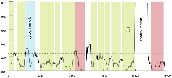 Divergence of mitochondrial genomes in Agaricia.