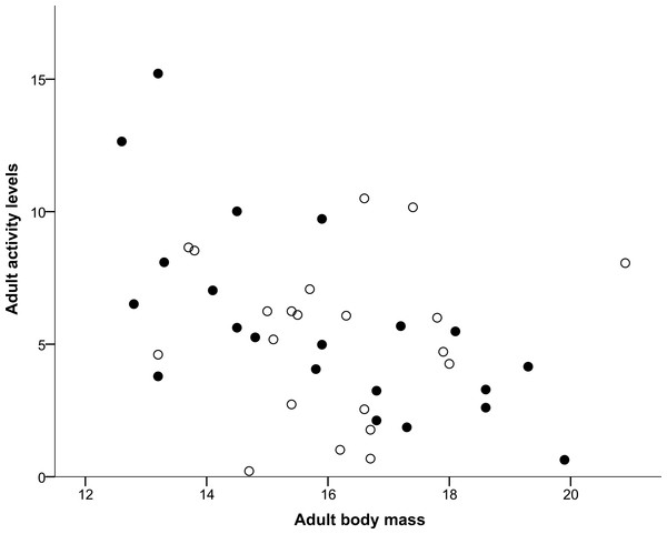 Correlation between adult body mass and adult activity levels.