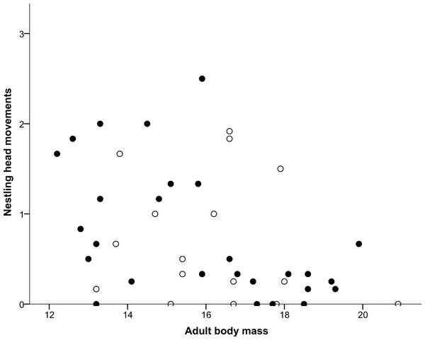 Correlation between adult body mass and nestling head movements.