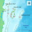 Turf algae-mediated coral damage in coastal reefs of Belize, Central ...