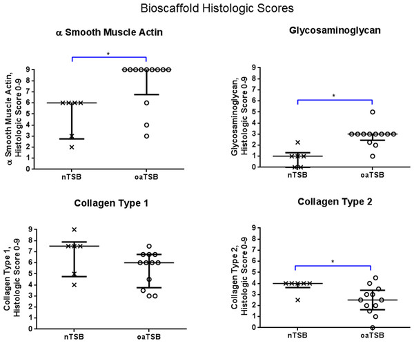 Histology scores for tensioned synoviocyte bioscaffolds.