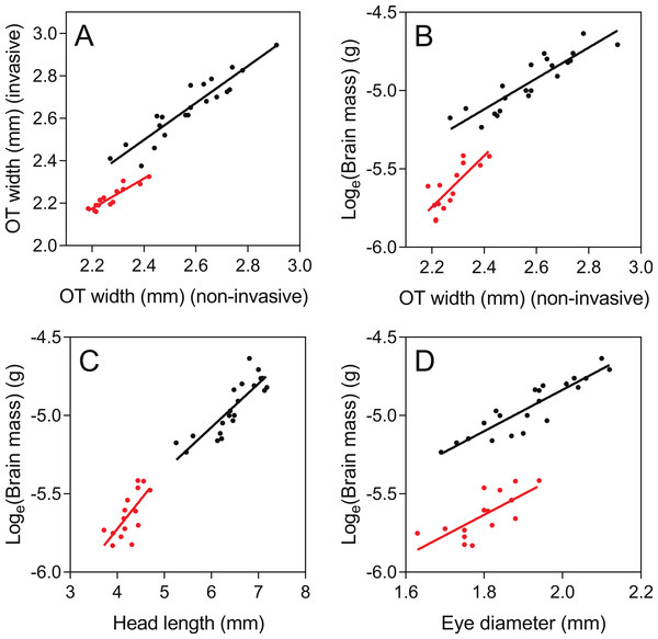 Correlations between non-invasive measurements (X-axes) and invasive brain measurements (Y-axes).
