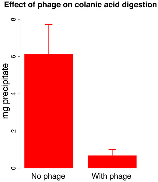 Effect of phage J8-65 on high molecular weight colanic acid components after overnight growth on plates.