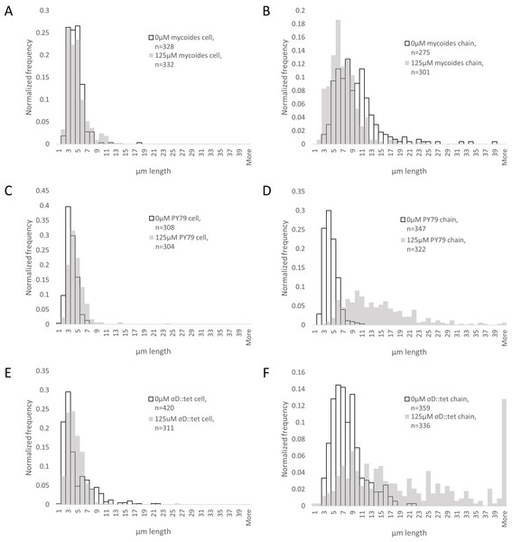 Quantification of chain and cell lengths with and without EDTA.