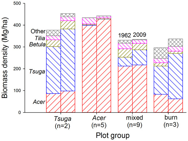 Living biomass by species over time.