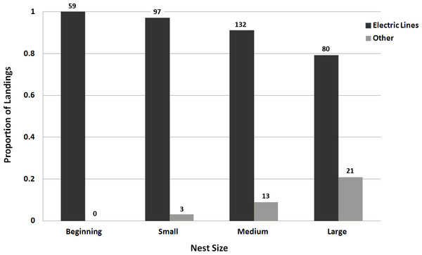 Bar graph of the use of electric lines as an access point for Monk Parakeets during nest construction.