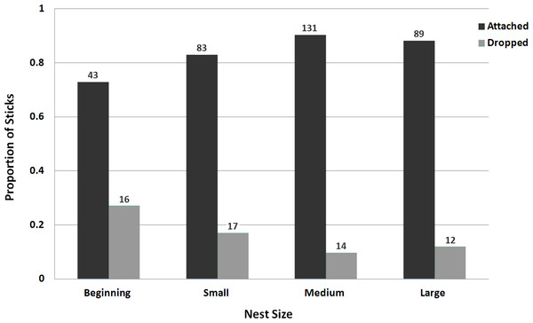 Bar graph of stick attachment success/failure as a function of nest size for nesting Monk Parakeets.