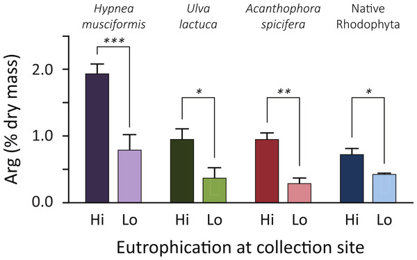 Common forage species for green turtles are arginine enriched at eutrophic coastal areas.