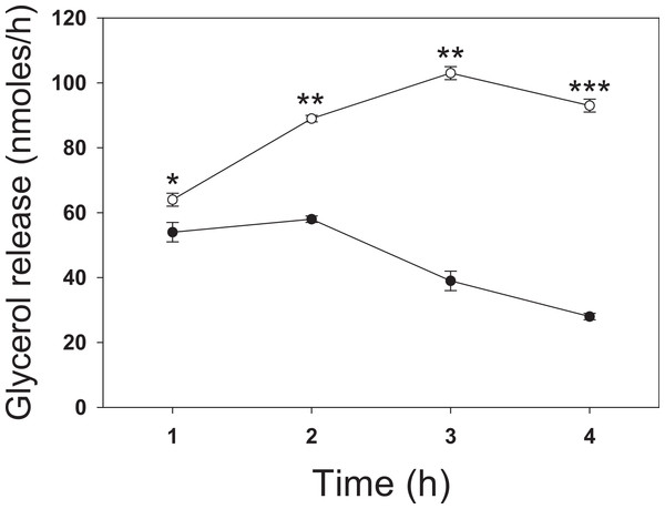 Time dependence of butyrate on rates of lipolysis in 3T3-L1 adipocytes.