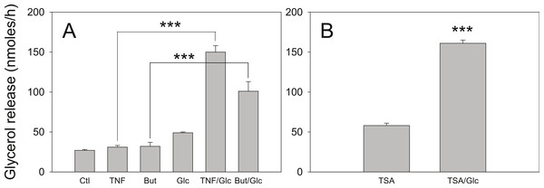 Effect of glucose on the lipolytic effect of butyrate and trichostatin A.