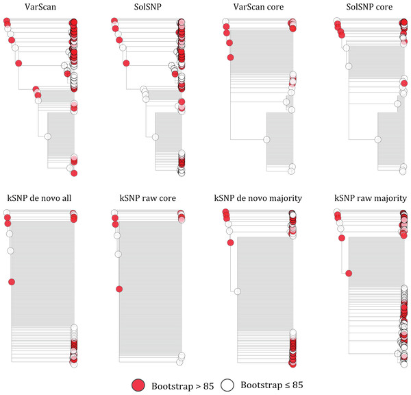 Phylograms inferred with RAxML under each of the different matrices created either using a reference-free or reference-based approach.