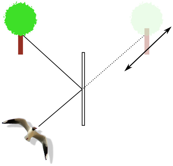 Depiction of the focal range around an object of interest reflected in a window.