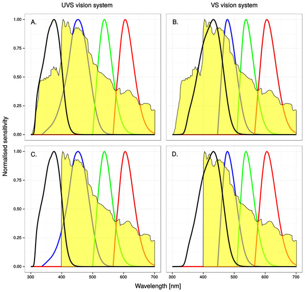 A spectroradiogram of clear sky, unaltered (A) & (B) or modified (C) & (D) to simulate the reflectance of a window marking that completely absorbs ultraviolet radiation below 400 nm, superimposed on normalized single-cone sensitivity.