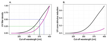 fig-3-small.jpg