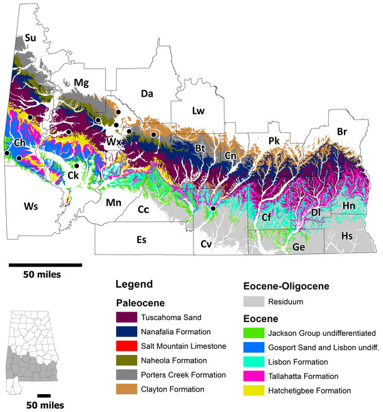 Geologic map of Paleocene and Eocene strata in Alabama.