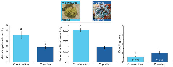 Relation between immunity and colony morphology and growth rates in corals.