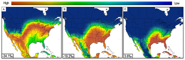 Likelihood-of-origin maps for a δ2Hhair value of −40‰ that was transformed into δ2HGSprecip for L. borealis and L. cinereus.