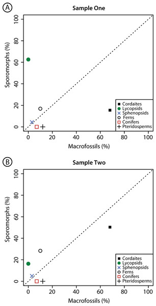 Comparison composition macrofossil and sporomorph assemblages.