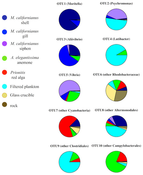 The relative abundance of the 10 OTUs that differed among the Tatoosh Island substrates.