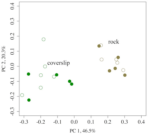 A PCoA of the OTU diversity of tidepool rock versus coverslip substrates at Second Beach, WA.