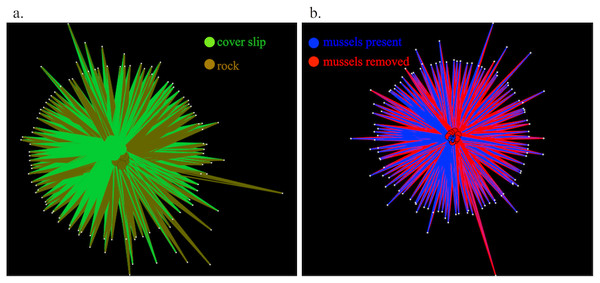 Shared OTU diversity among microbes sampled from tidepool rock versus coverslip substrates in tidepools at Second Beach, WA.