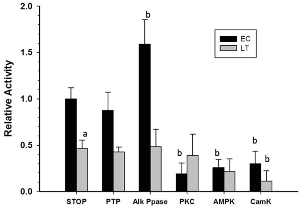 Effect on GAPDH activity of in vitro incubations that stimulate protein kinases or protein phosphatases.