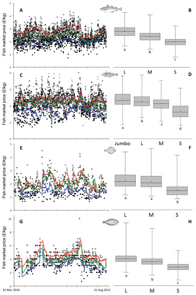 Within species variability in market price per size category.