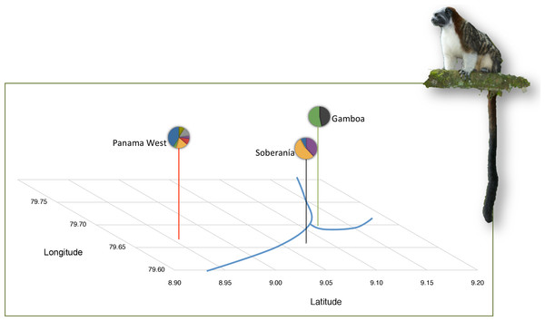 Background information on tamarin study populations.