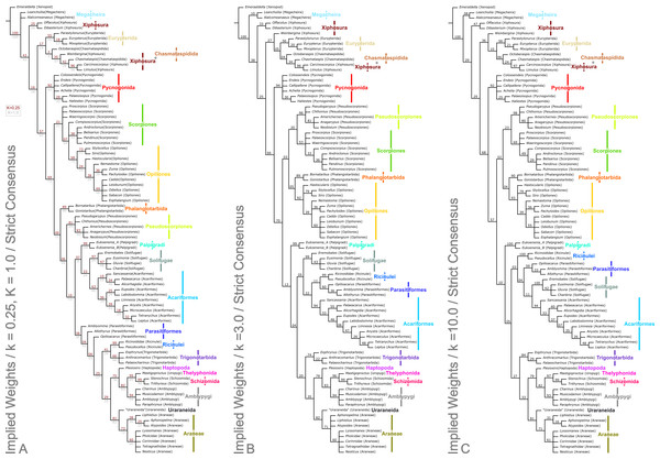 Results of the cladistic analysis presented herein under implied weights.