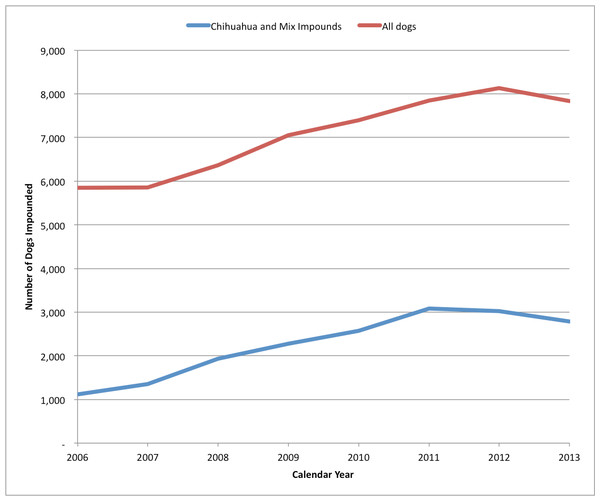 SJACS total dog impounds 2006–2013.