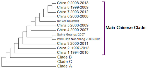 Phylogenetic overview.