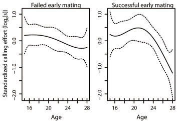 accompanying article image