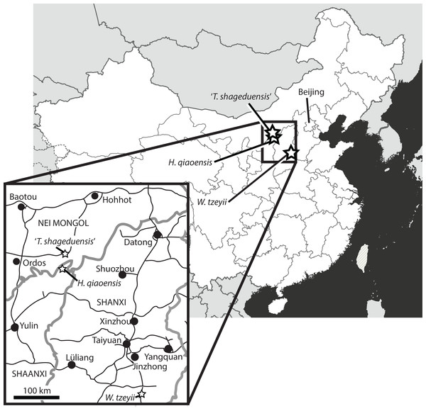 Localities of the putative Chinese euparkeriids.